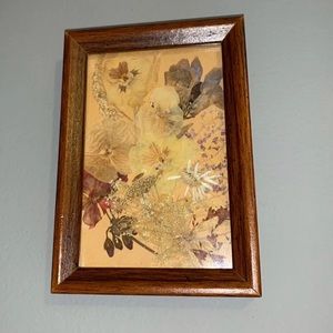 Vintage Framed Dried Flowers